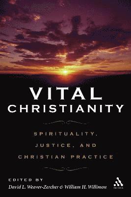 Vital Christianity (hftad)