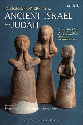 Religious Diversity in Ancient Israel and Judah (hftad)