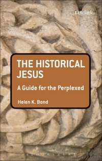 Historical Jesus: A Guide for the Perplexed (e-bok)
