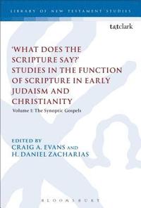 What Does the Scripture Say?' Studies in the Function of Scripture in Early Judaism and Christianity (hftad)