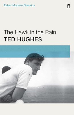 Hawk in the Rain (häftad)