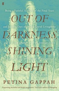 Out of Darkness, Shining Light (e-bok)