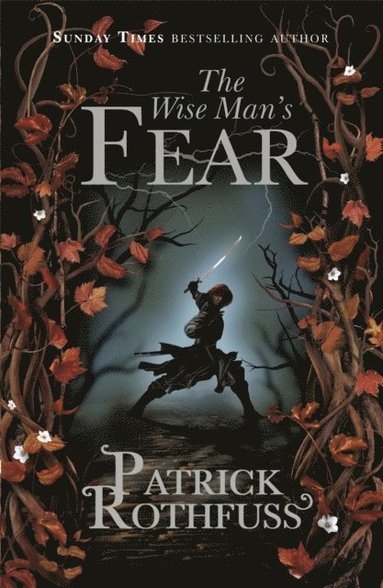 Wise Man's Fear (häftad)