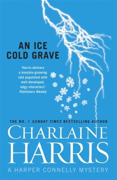 Ice Cold Grave (e-bok)