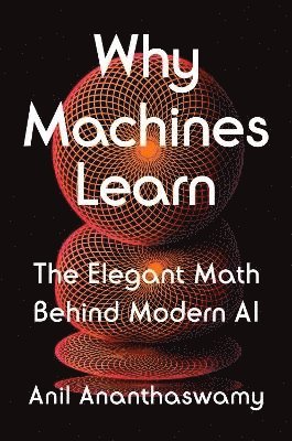 Why Machines Learn (häftad)