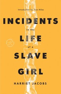 Incidents in the Life of a Slave Girl (e-bok)