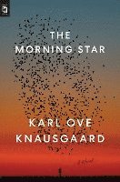 Morning Star (hftad)