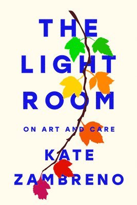 Light Room (häftad)