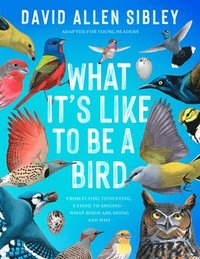 What It's Like to Be a Bird (Adapted for Young Readers) (inbunden)