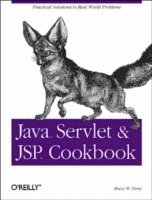 Java Servlet and JSP Cookbook (hftad)