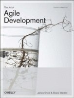 The Art of Agile Development (inbunden)
