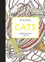 Cats Postcards (inbunden)