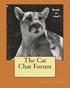 The Cat Chat Forum