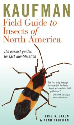 Kaufman Field Guide To Insects Of North America (inbunden)