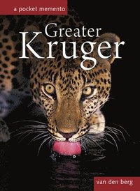 Greater Kruger: A Pocket Memento (inbunden)