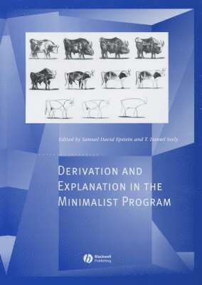 Derivation and Explanation in the Minimalist Program (inbunden)