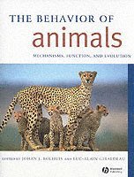 The Behavior of Animals (h�ftad)