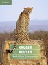 Kruger Routes