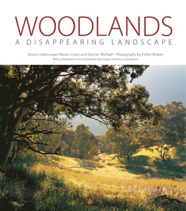 Woodlands (e-bok)