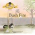 Bushfire