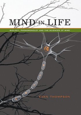 Mind in Life (h�ftad)