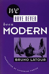 We Have Never Been Modern (e-bok)