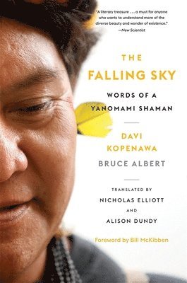 Falling Sky (häftad)