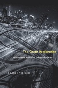 The Great Acceleration (häftad)