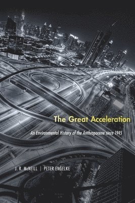 Great Acceleration (häftad)