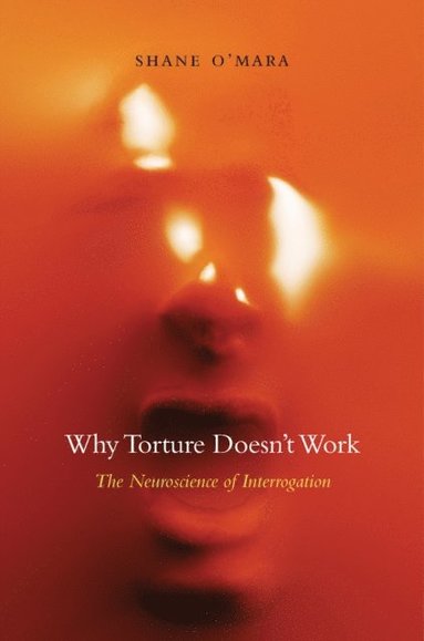 Why Torture Doesn't Work (e-bok)