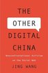 Other Digital China