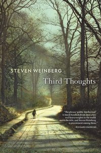 Third Thoughts (e-bok)