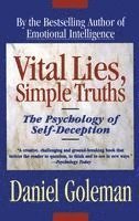 Vital Lies, Simple Truths: The Psychology of Self Deception (hftad)
