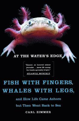 At the Water's Edge: Fish with Fingers, Whales with Legs, and How Life Came Ashore But Then Went Back to Sea (hftad)