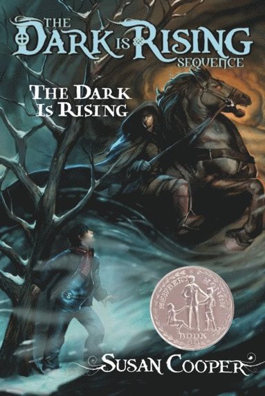Dark Is Rising (häftad)