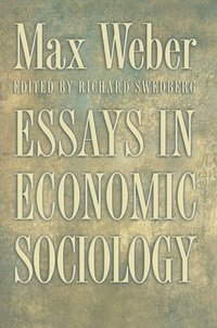 essays in economic sociology
