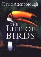 The Life of Birds (inbunden)