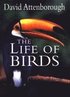 The Life of Birds