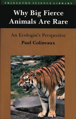 Why Big Fierce Animals Are Rare (hftad)