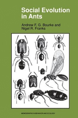Social Evolution in Ants (h�ftad)