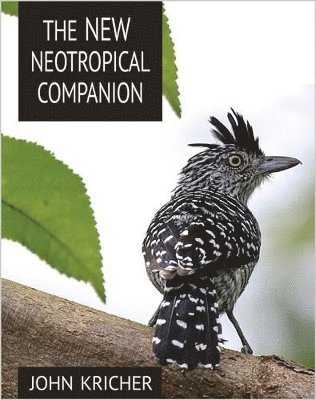 The New Neotropical Companion (hftad)