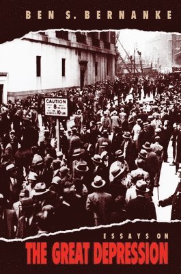 Essays on the Great Depression (hftad)
