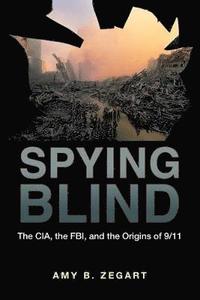 Spying Blind (häftad)