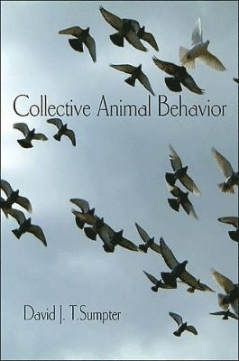 Collective Animal Behavior (hftad)