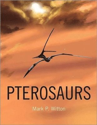 Pterosaurs (häftad)