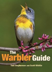 The Warbler Guide (hftad)