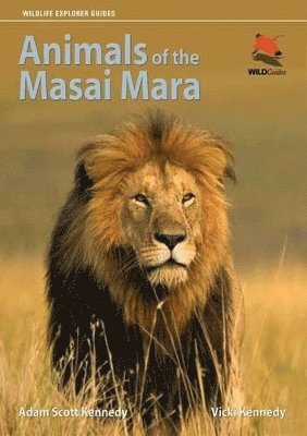 Animals of the Masai Mara (inbunden)