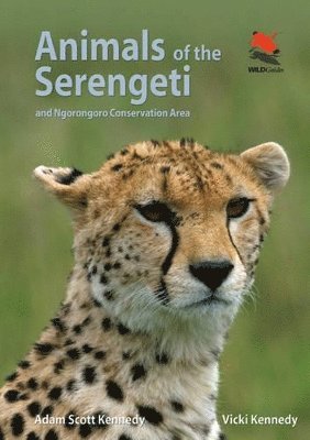 Animals of the Serengeti (inbunden)