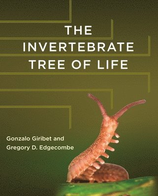 The Invertebrate Tree of Life (inbunden)