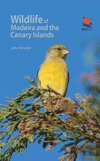 Wildlife of Madeira and the Canary Islands (häftad)